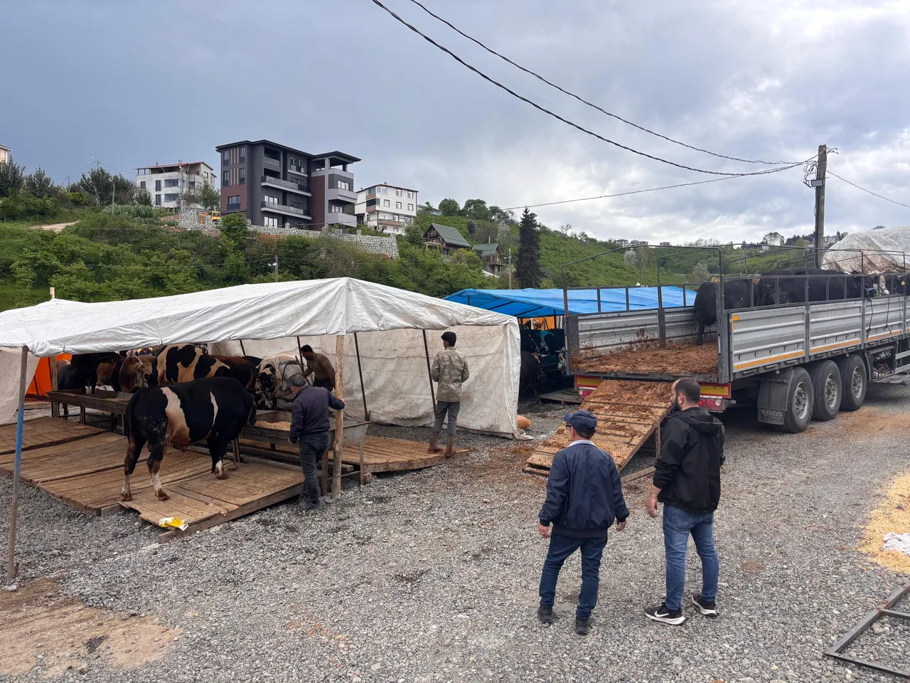 Besmele ile başladı, kurban pazarlığında kolu ağrıdı! "Ula Rahman inada bindirme"