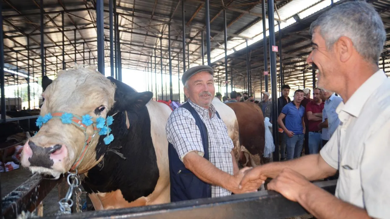Kurban Bayramı 9 gün mü, bayram tatili ne zaman başlıyor? Bayram öncesi 1,5 günü idari izin!