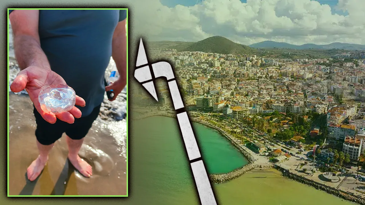 Ölümcül şok riski! Akdeniz’in kabusu Ege’ye taşındı! Antalya, Mersin’den sonra şimdi de İzmir ve Aydın’da ortaya çıktı
