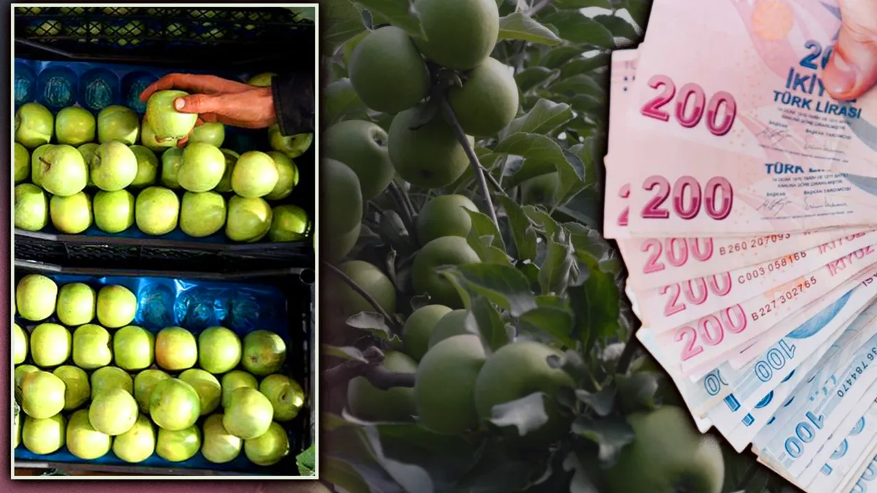 Tarlada 30 markette 270 lira! Tüccarın ‘elma’ oyunu ifşa oldu: Ucuza satmamak için depolamışlar