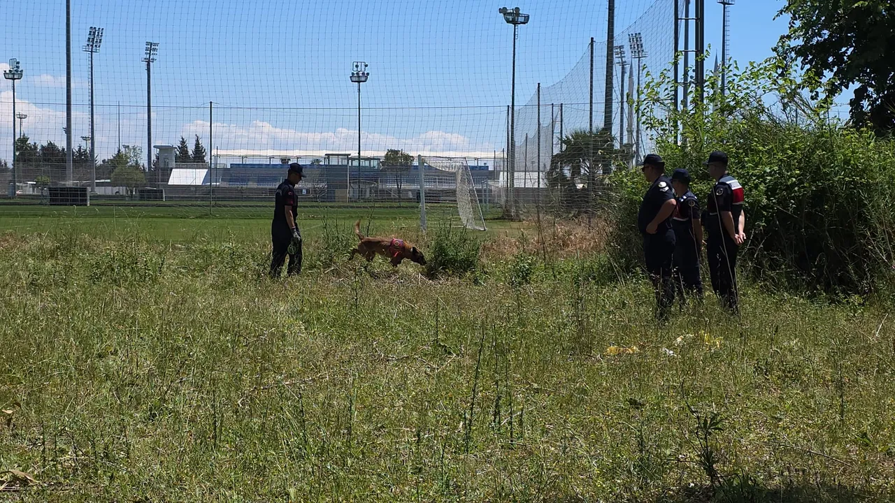 Antalyada sır olay! Çoban gördü... Boş arazide kafatası ve kemikler bulundu