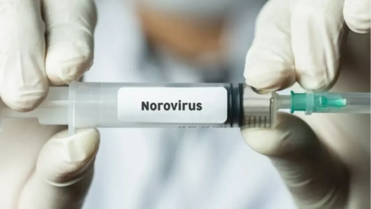 İngiltere'de Norovirüs virüs yüzünden okullar kapandı