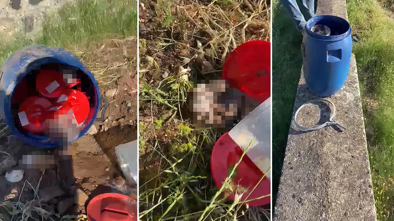 Plastik bidonda 21 cenin bulundu! Mezarlıkta kan donduran olay