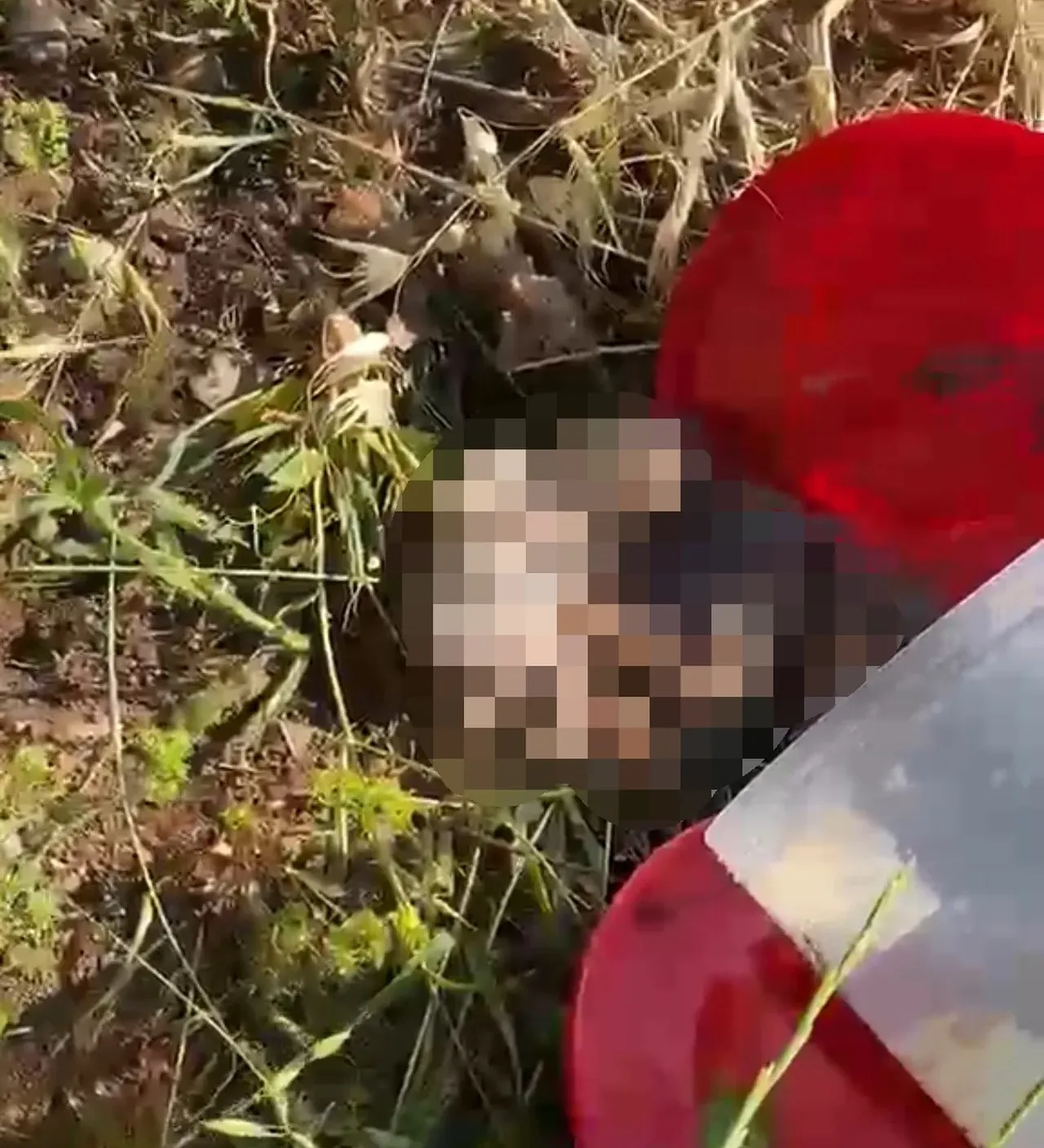Plastik bidonda 21 cenin bulundu! Mezarlıkta kan donduran olay