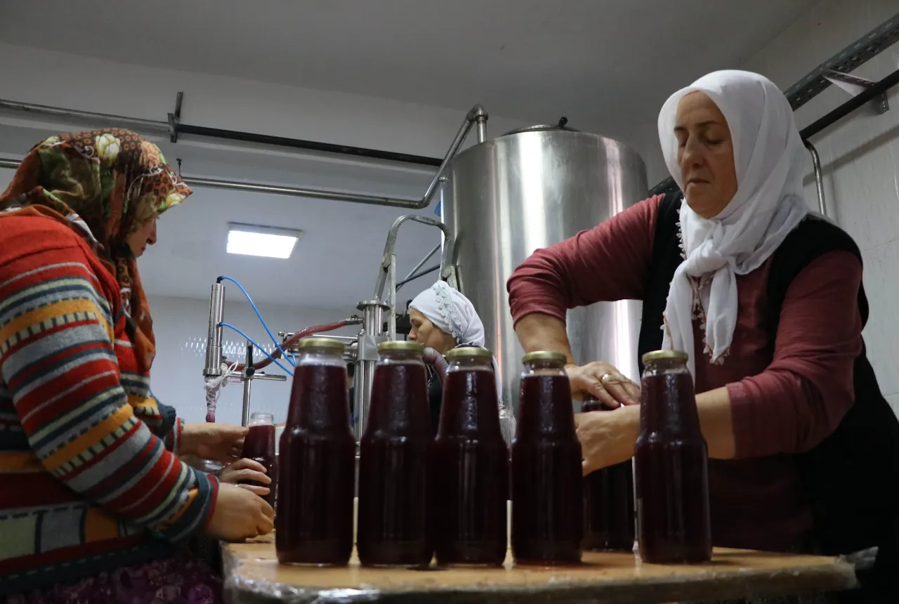 Türkiye’nin en iyi içecekleri açıklandı! Listenin 1 numarası şaşırttı: Türk kahvesi ve çayı solladı, zirveyi kaptı