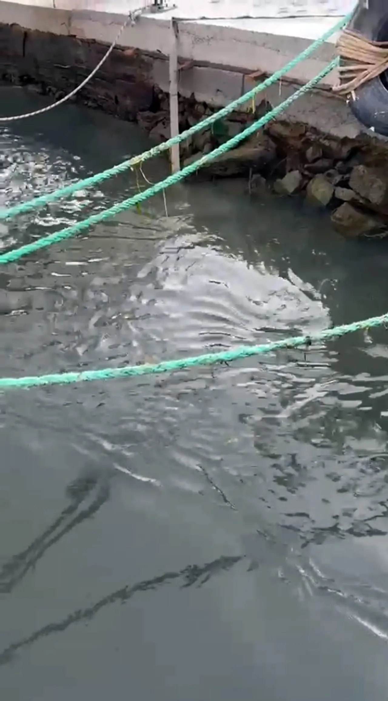 Akyaka'da korkutan görüntü! Deniz suyu 100 metre geri çekildi