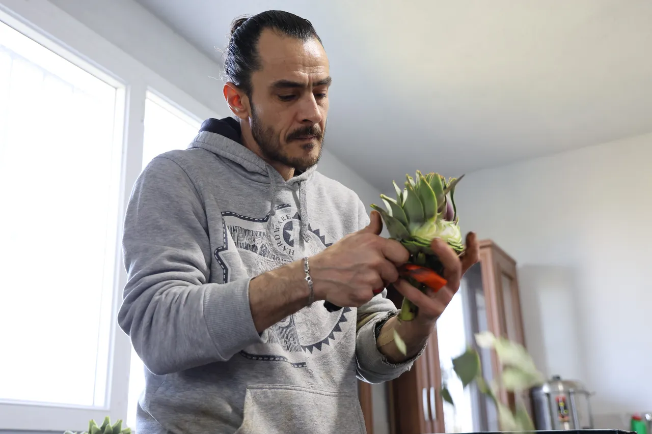 Asgari ücretin 4 katını kazandırıyor! ‘Yeşil elmas’ın hasadı başladı, çalışmak için İstanbul’dan gelen var