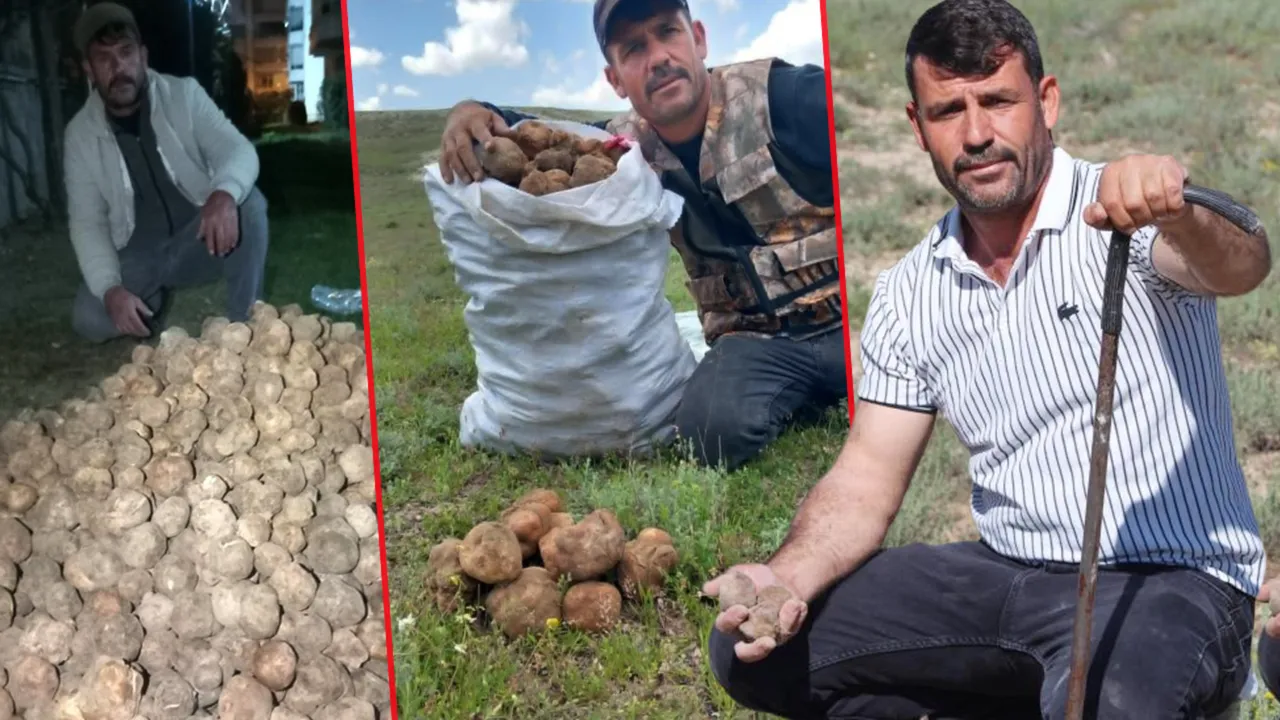 Hiçbir masrafı yok, günde 60 bin liralık topluyor! Kazandığı parayla ev, araba, arsa sahibi oldu