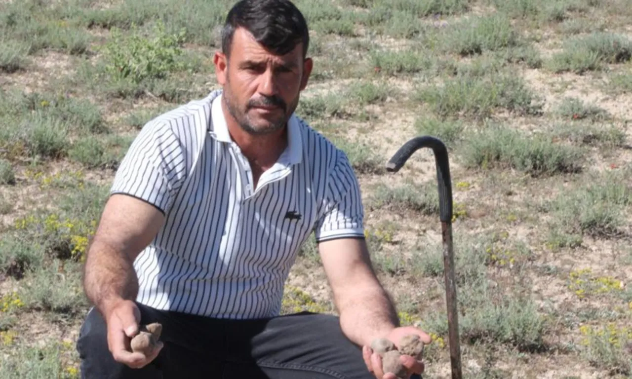 Hiçbir masrafı yok, günde 60 bin liralık topluyor! Kazandığı parayla ev, araba, arsa sahibi oldu