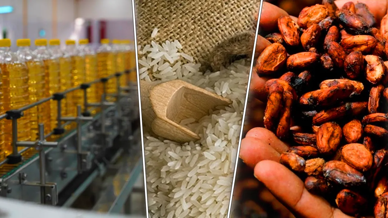 Ayçiçek yağı, pirinç, kakaoda fiyat artabilir! ‘El Nino’ riski sonrası ‘zam’ sinyali! 