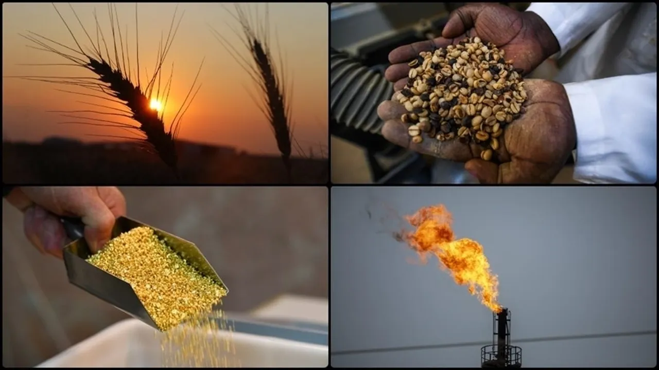 Ayçiçek yağı, pirinç, kakaoda fiyat artabilir! ‘El Nino’ riski sonrası ‘zam’ sinyali!