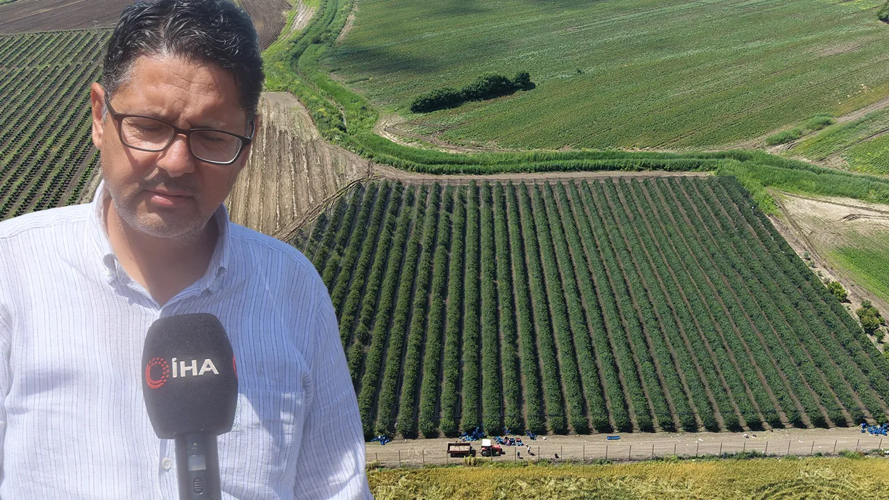 İspanya'dan getirdi, 'olmaz' diyenlere inat ekti! Şimdi kilosunu 4 eurodan satıyor