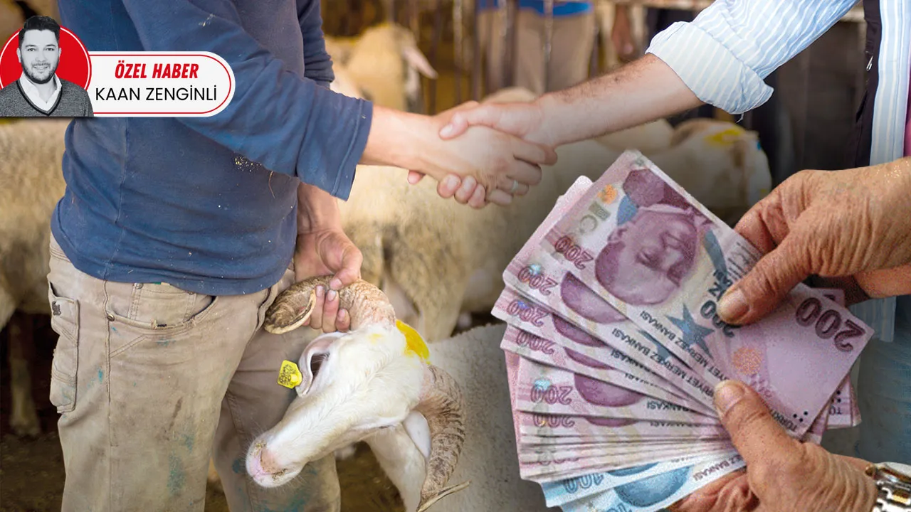 Kurbanda kasap masrafı bel büküyor! Eti mutfağa sokmanın bedeli bir hayvan parası