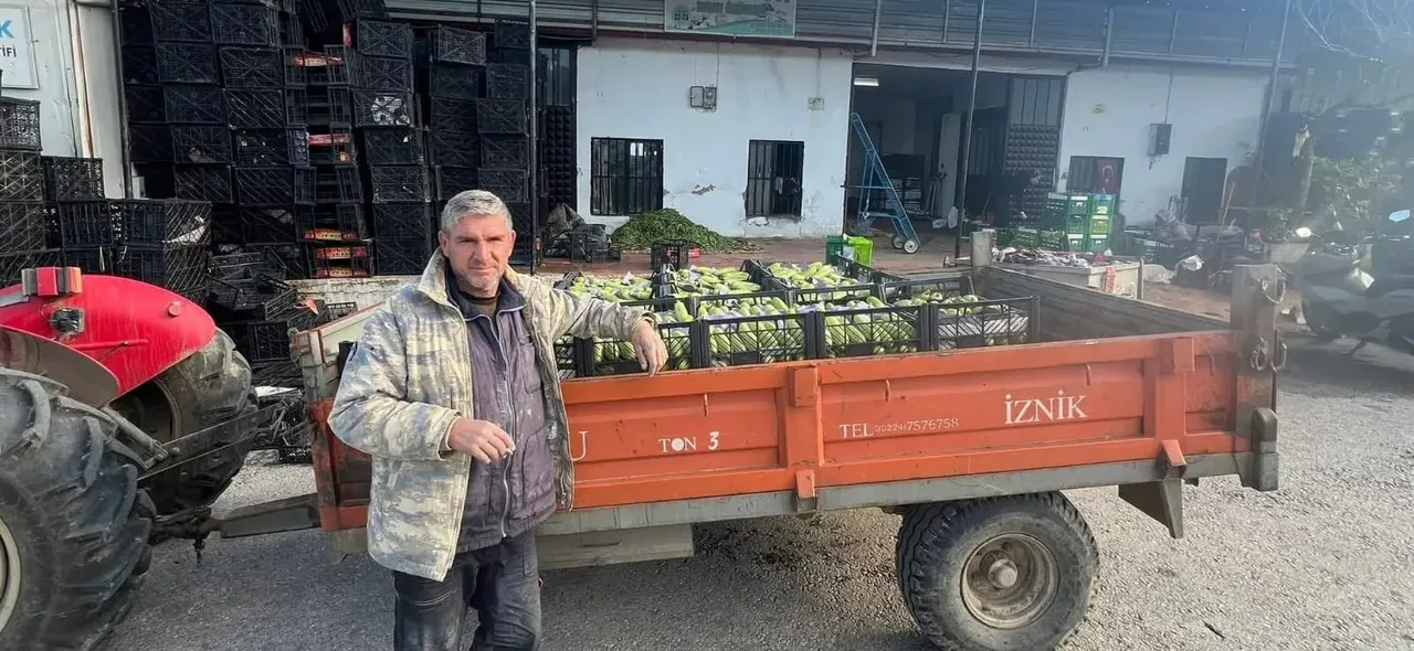 Hasat başladı, tarlada kilosu 30 TL! Verim ve kalite çiftçinin yüzünü güldürüyor
