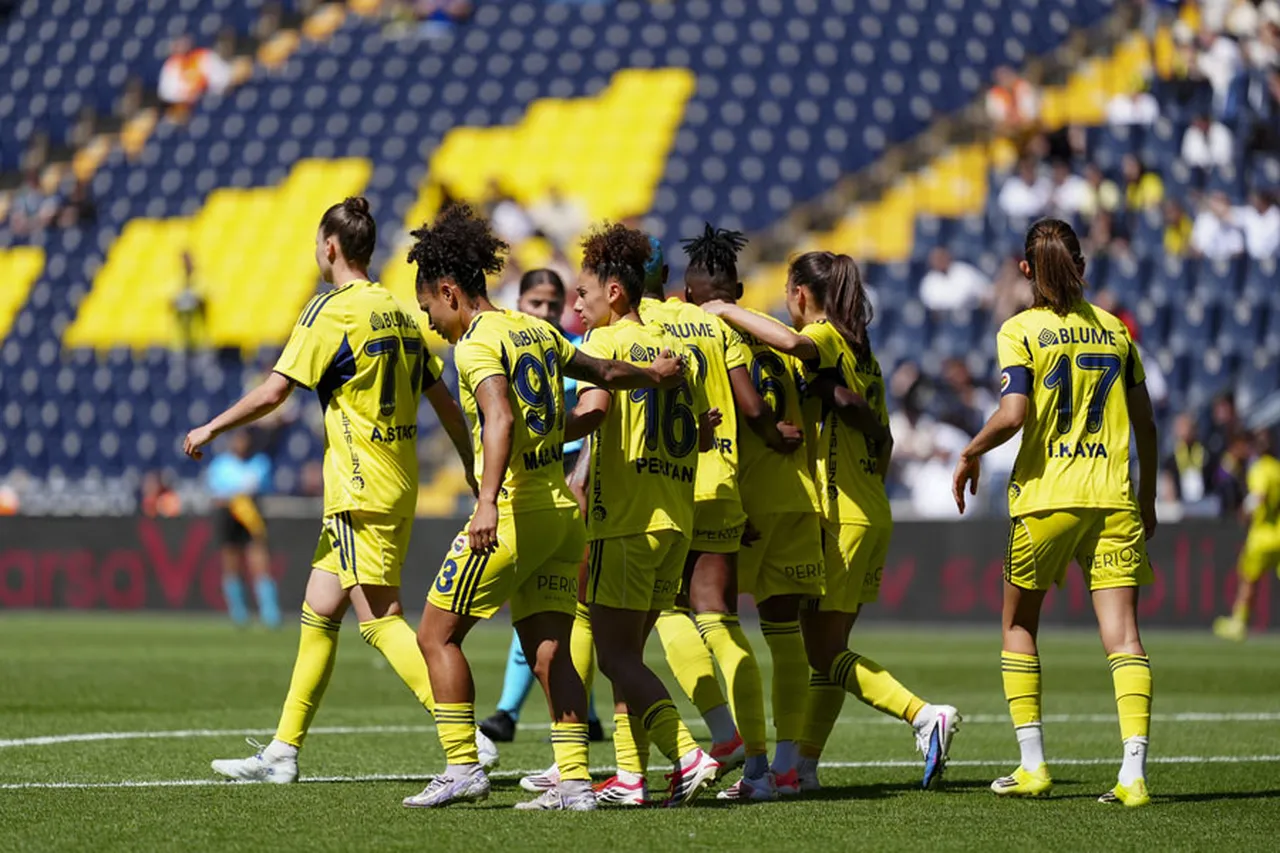 Fenerbahçe arsaVev