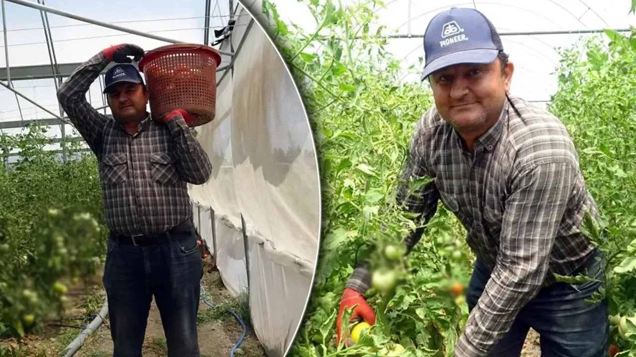 SERADA KİLOSU 60 TL!