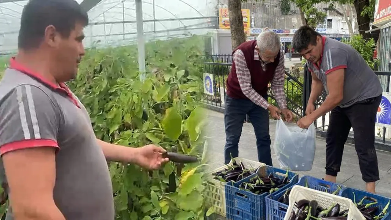 Binbir hayalle üretti! Maliyeti kurtarmayınca bedava dağıttı
