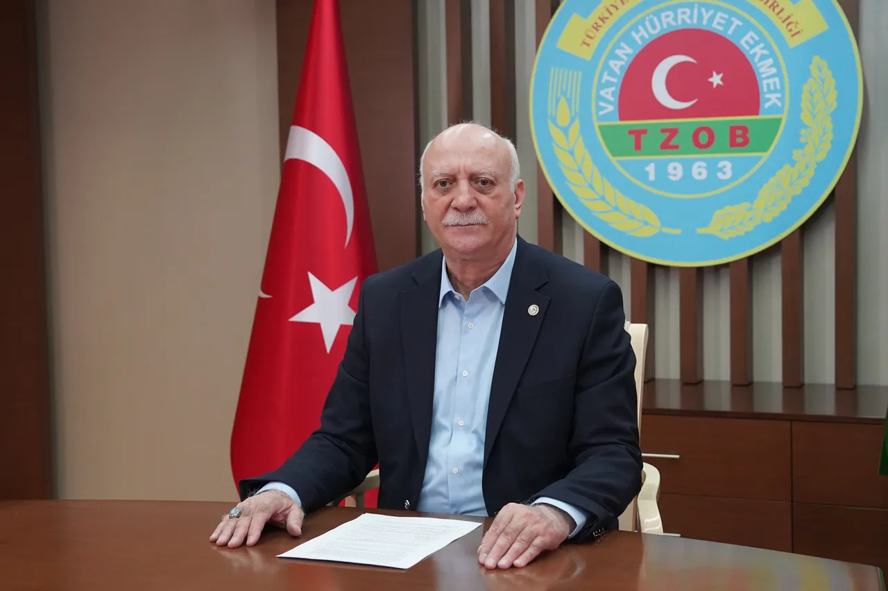 Elma üreticide ucuz markette lüks oldu! Yüzde 393'lük makas var