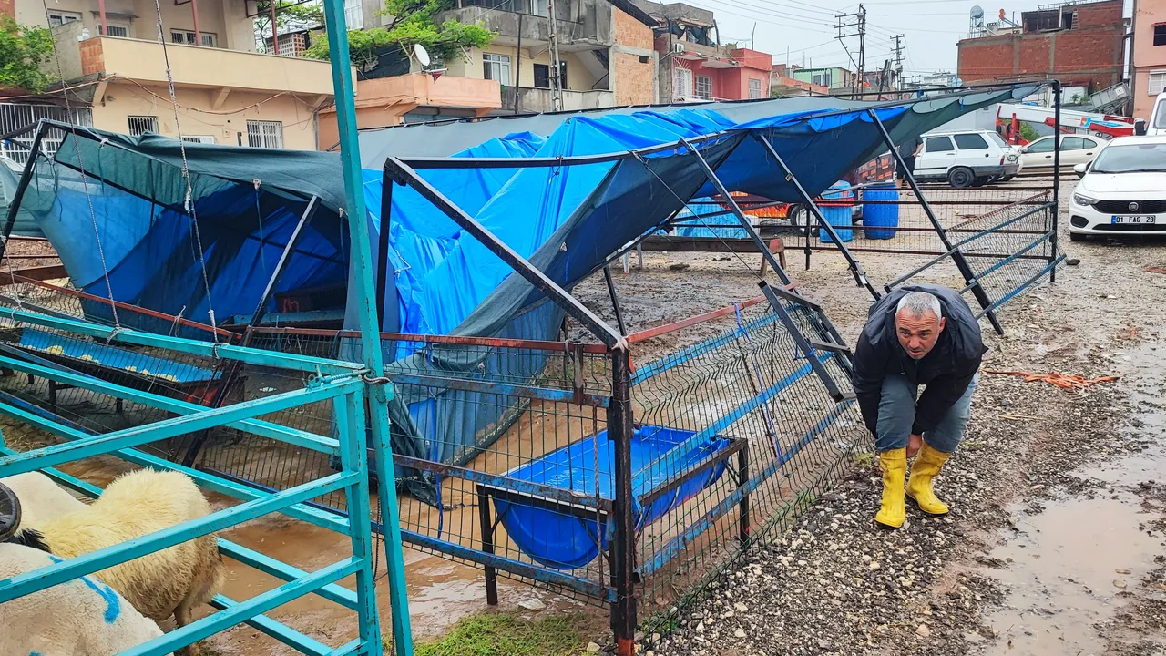 Adana’da kurban pazarını su bastı! Besici gözyaşları içinde yardım istedi: Şu halimize bakın, ne yapacağımızı bilmiyoruz