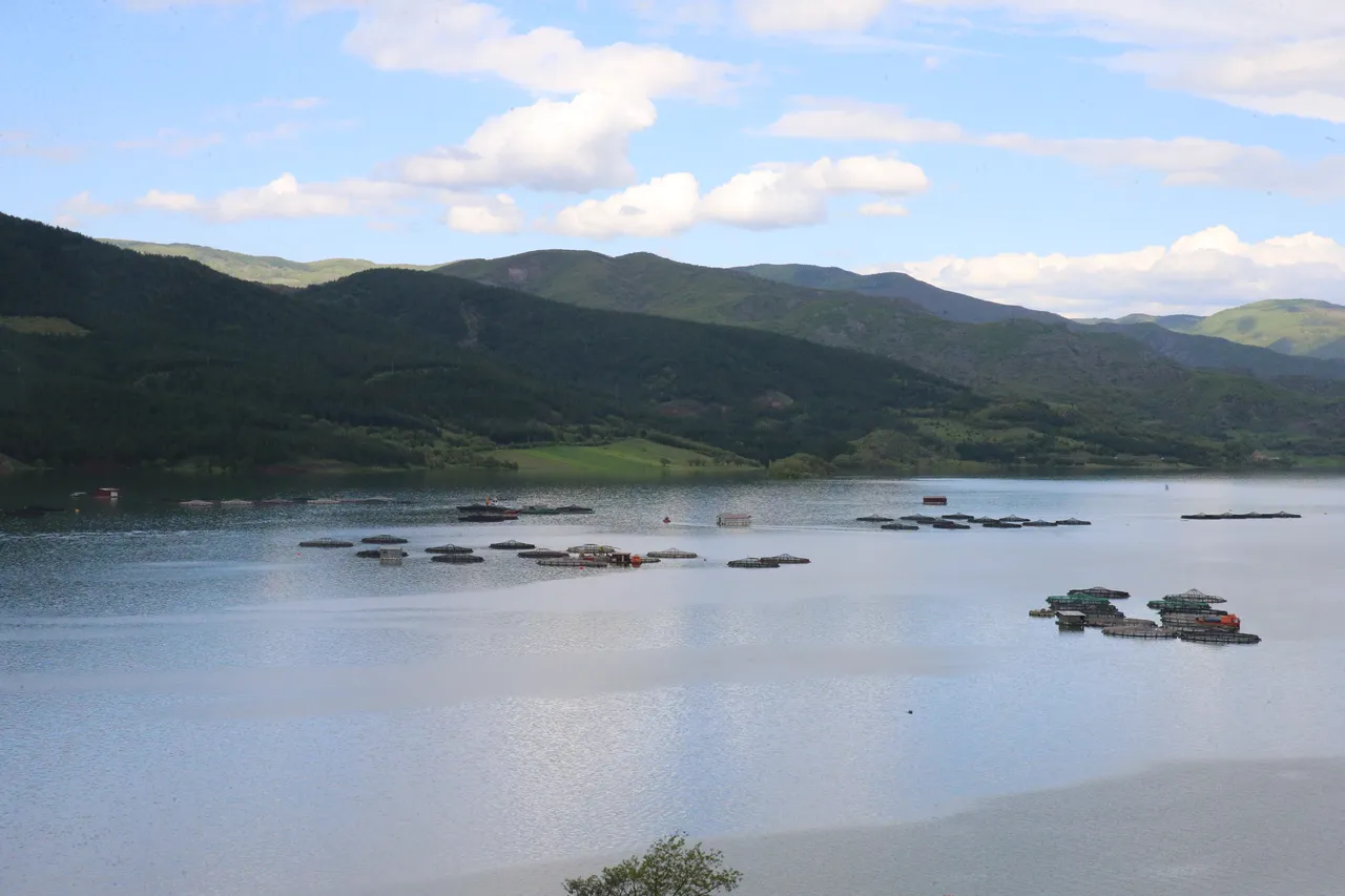 Almus barajı taştı mı, Tokat'ta okullar tatil mi? Tokat Valiliğinden açıklama!