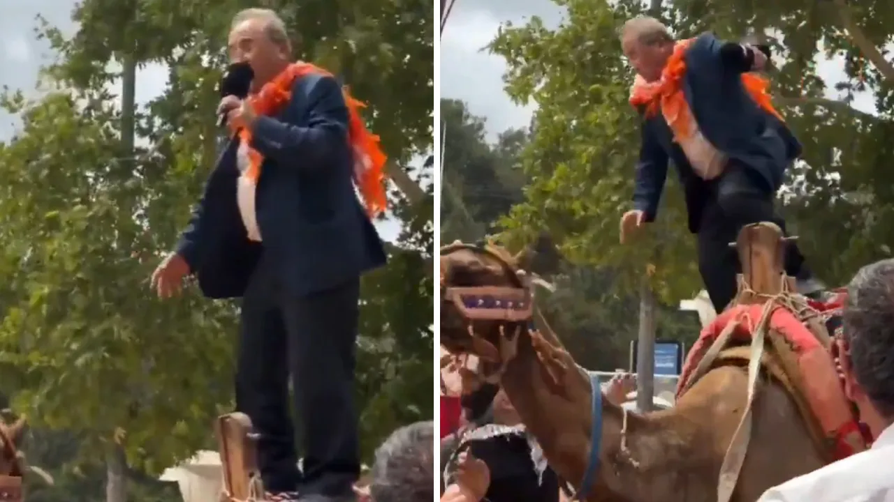 Eski belediye başkanının zor anları! Halkı selamlarken devenin üzerinden düştü