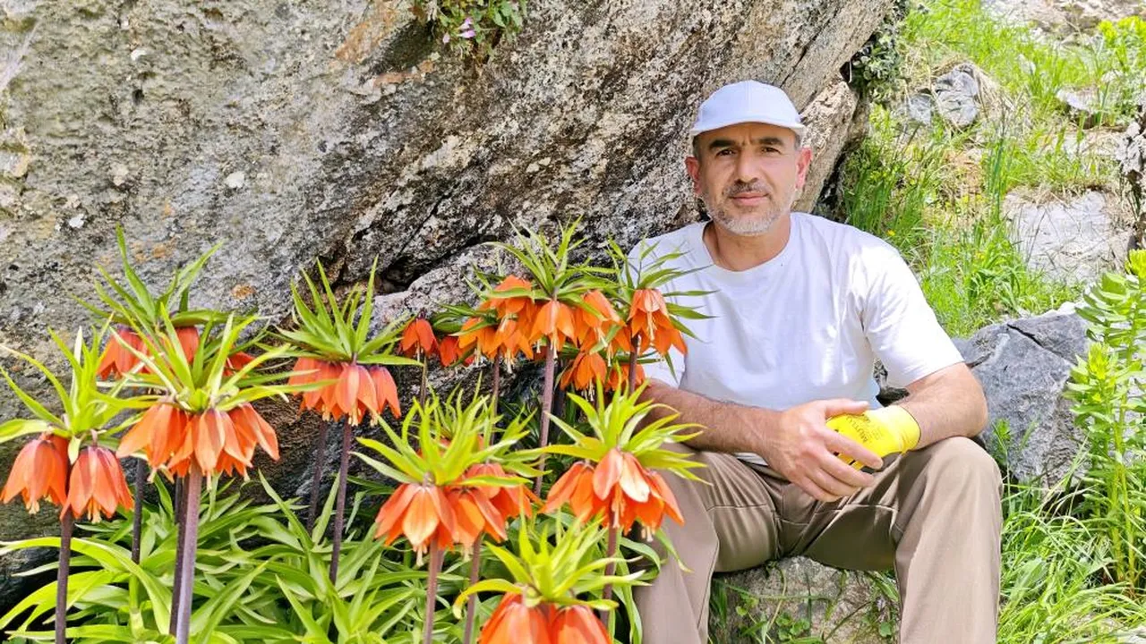 Sadece 15 gün ömrü var! Bu çiçeği kopartmak bir araba parası