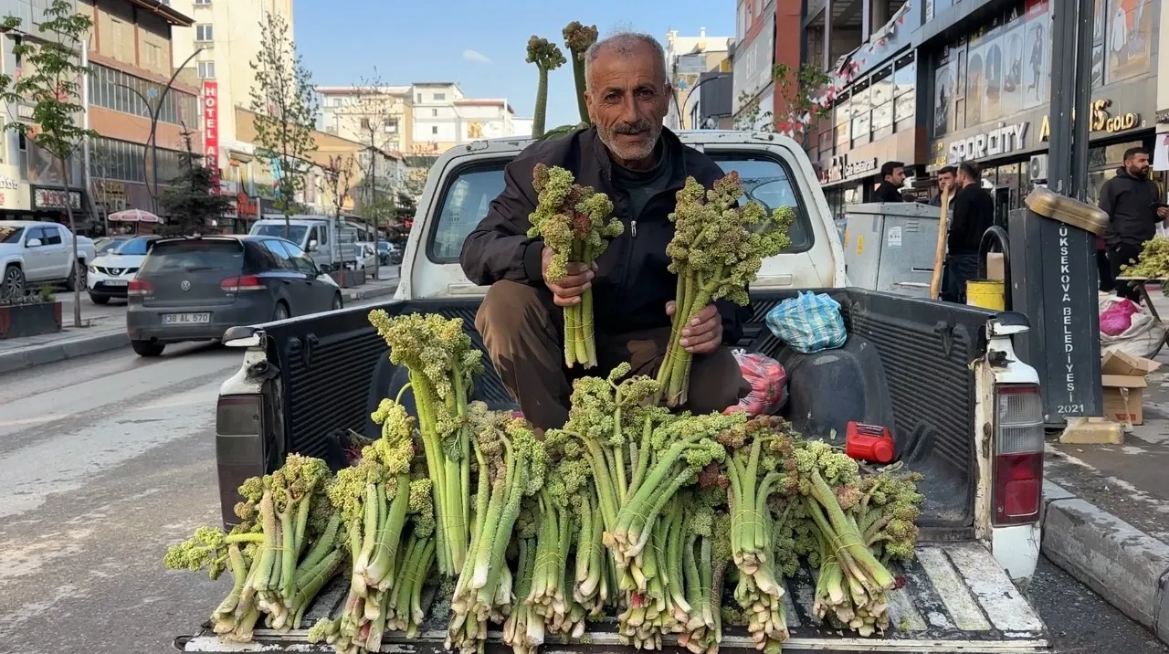 Şeker ve tansiyona birebir! Bağı 100 liradan kapış kapış satılıyor