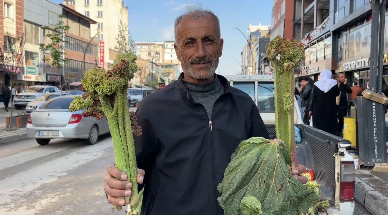 Şeker ve tansiyona birebir! Bağı 100 liradan kapış kapış satılıyor