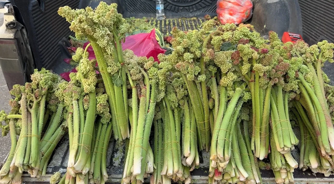 Şeker ve tansiyona birebir! Bağı 100 liradan kapış kapış satılıyor