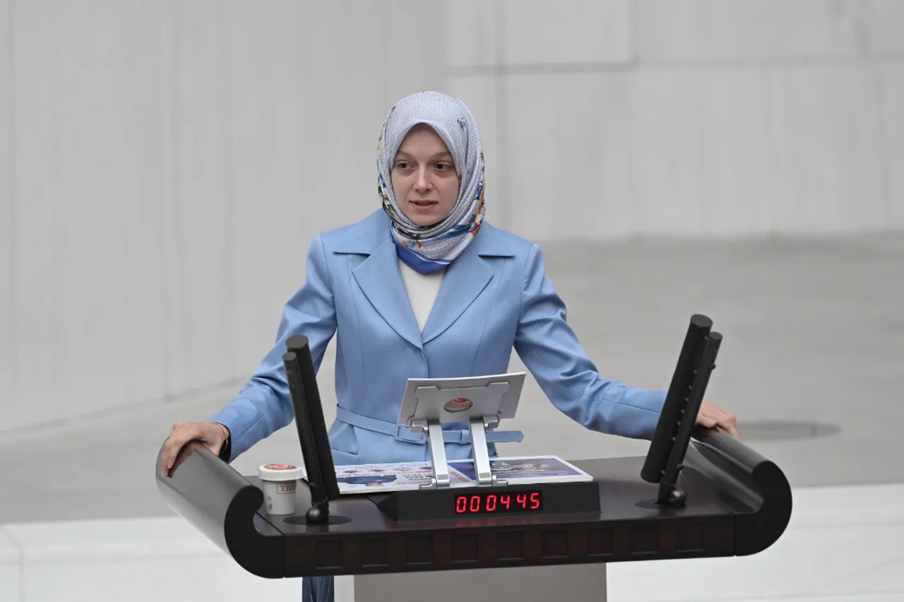 TBMM’nin en geç Milletvekili AK Partili Aydemir’den CHP’li Başarır’a tepki: “Gençler olarak Türkiye'nin her alanında öncüyüz”