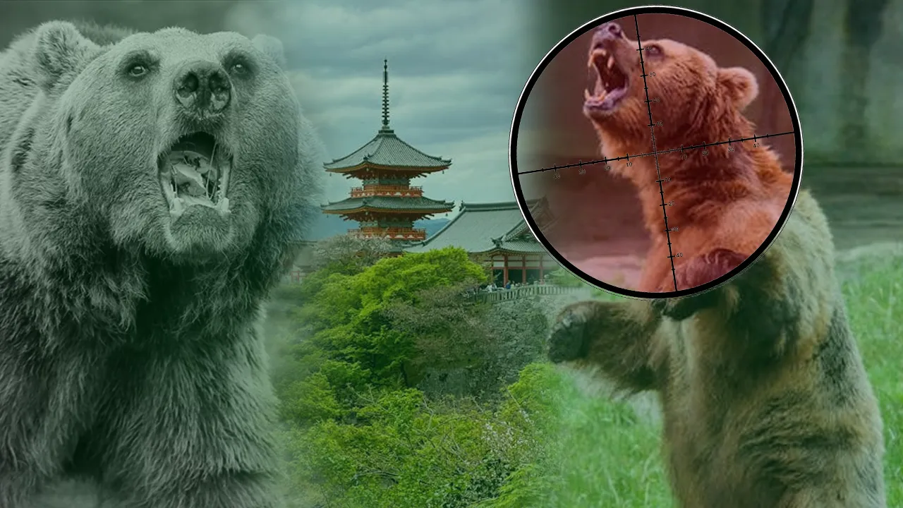 1 yılda 238 ölüm! Japonya’nın ayı kabusuna yeni bir önlem daha: Dağlara 800 kamera yerleştirilecek 