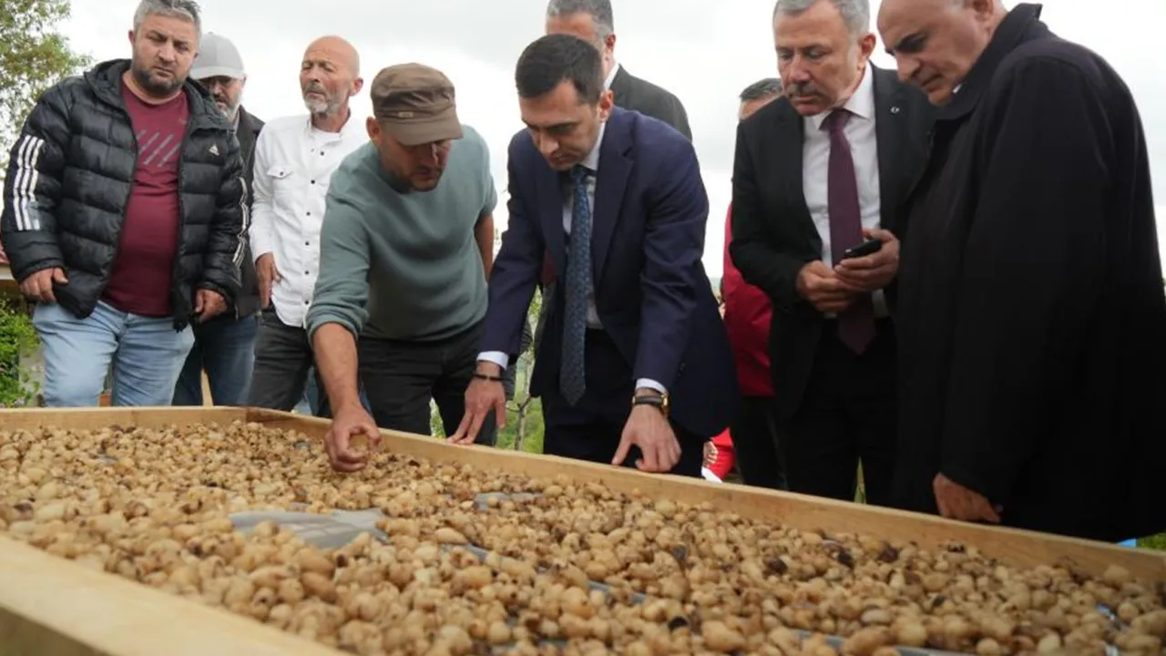 Herkes peşine düştü: Kilosu 12 bin TL’ye alıcı buluyor! Üretici “Bu işte para var” diyor