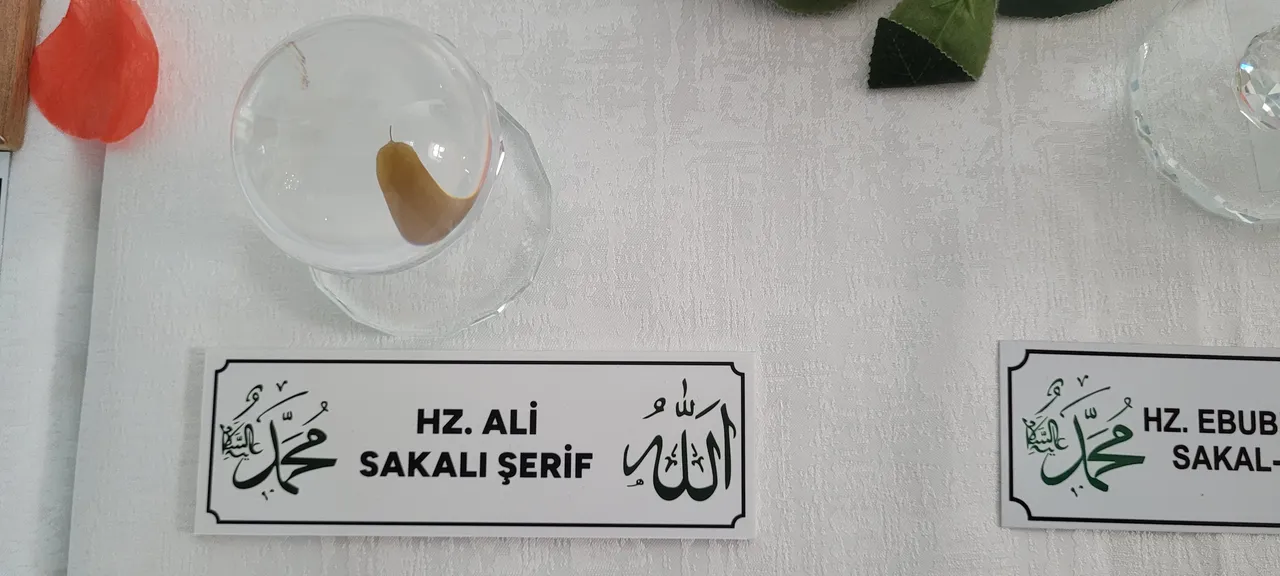 Kutsal emanetleri diyar diyar sergiliyor! Ali Osman Işık Hoca: Amacımız aşıkla maşuku buluşturmak