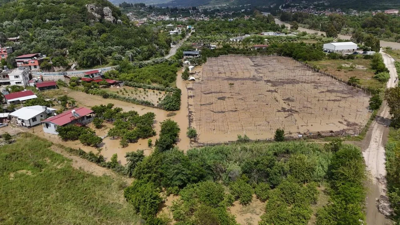 Hatay sağanak yağışa teslim! Hayvan pazarını sel vurdu