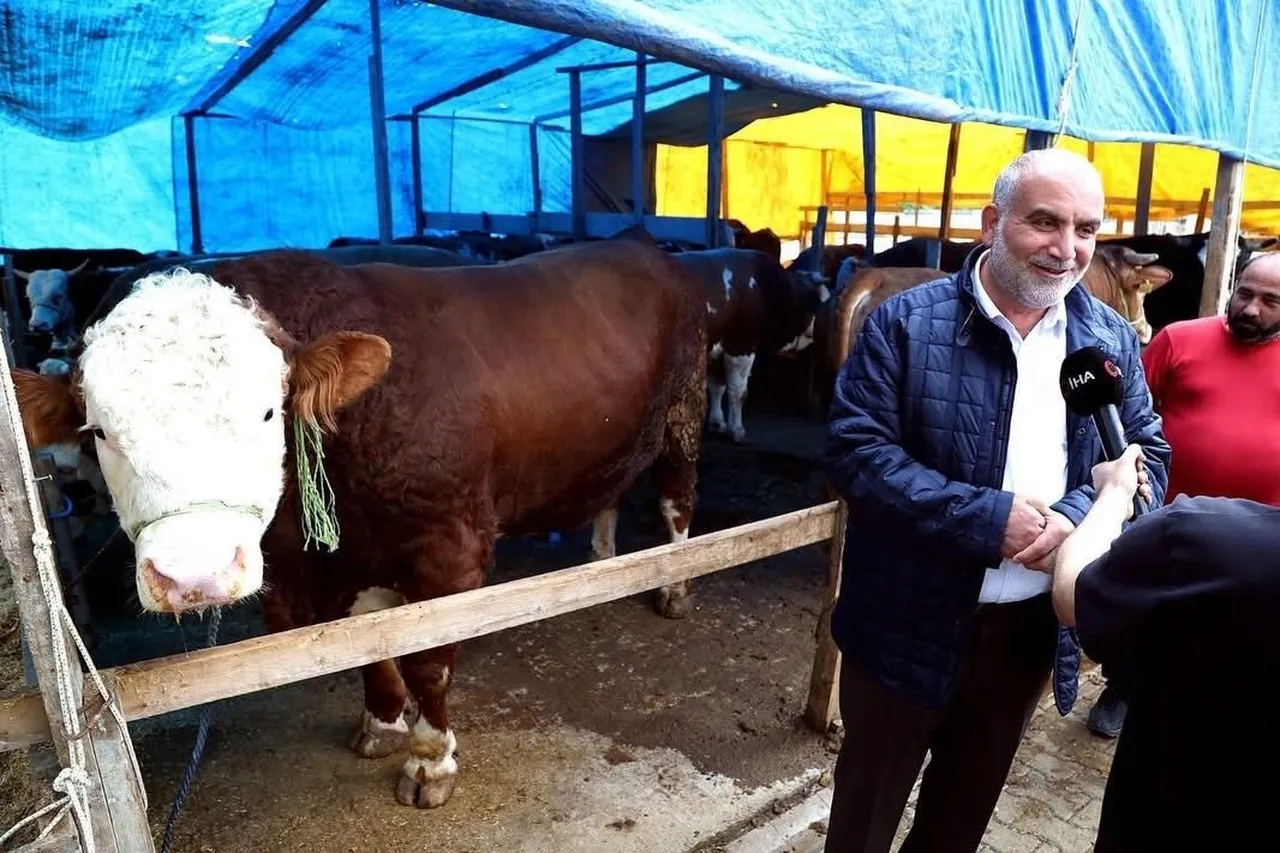 400 bin TL verdiler, satmadı! 1.3 tonluk kurbanlık araba fiyatına alıcısını bekliyor