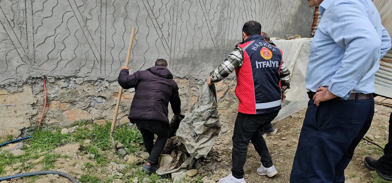 İlçede yılan paniği! Belediye ekipleri harekete geçti