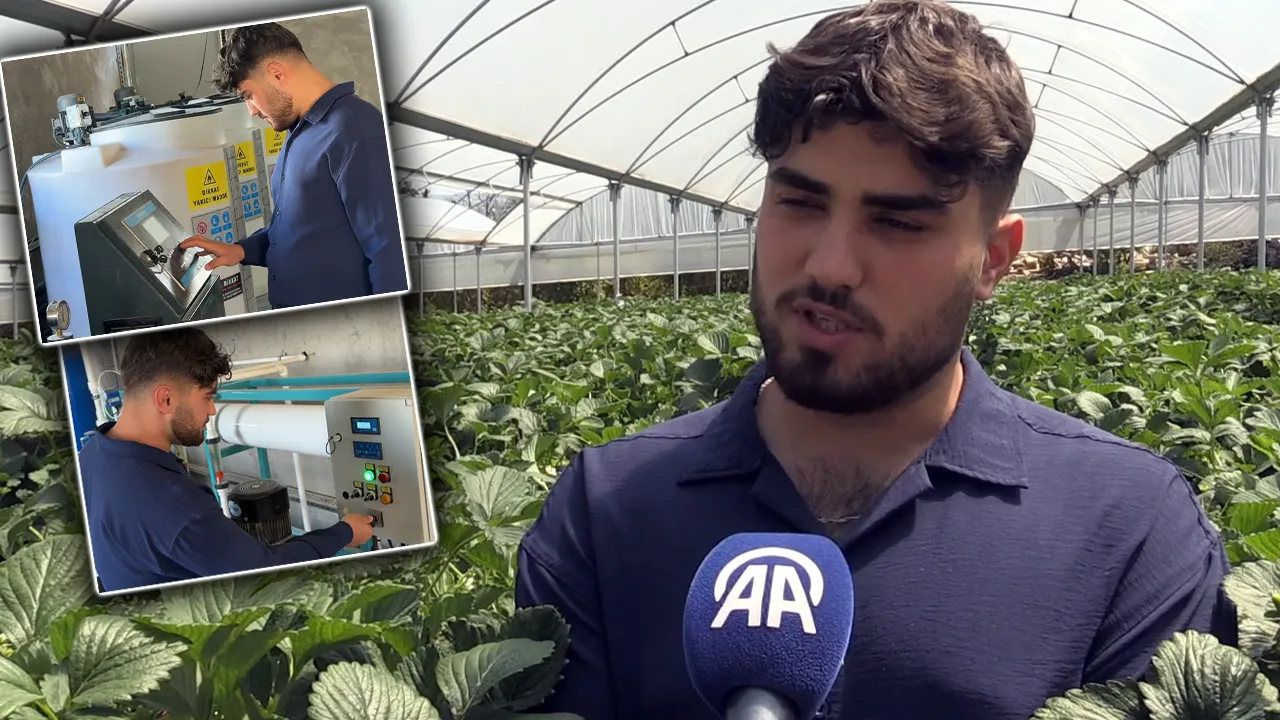 Rusya ve Romanya'ya ihraç ediyor! Tarlasına kurduğu sistem sayesinde zengin olacak