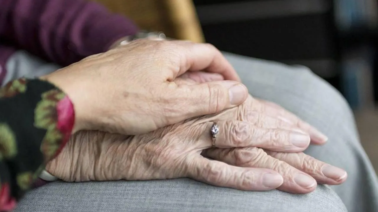 Hükûmetten tabiat temelli yeni model: Yaşlı ve engellilere ‘İskandinav refahı’