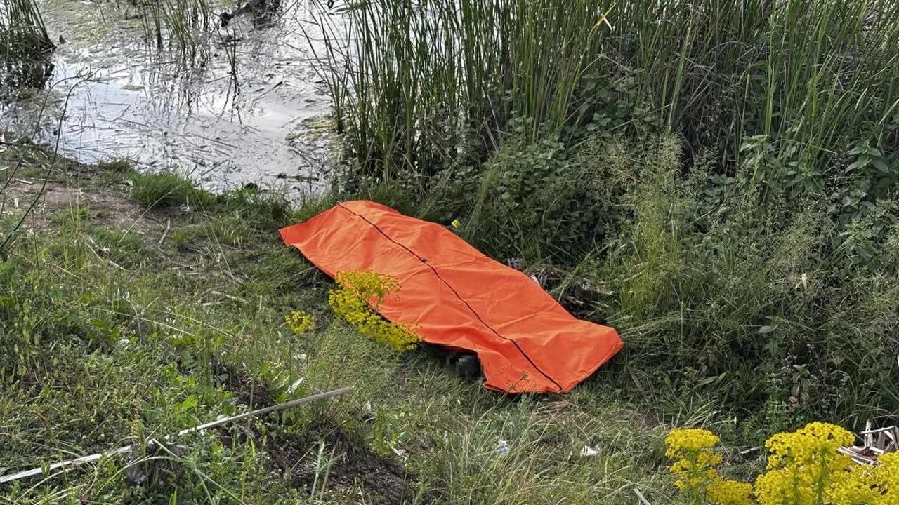 Tabiat parkında korkunç olay! Mersin'de kayboldu, Sakarya'da ölü bulundu