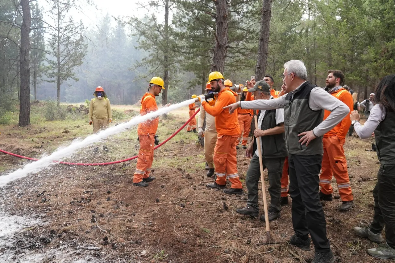 "Yeşil Vatan"ı savunuyorlar! Ormanlar için 140 bin kişilik gönüllü ordusu