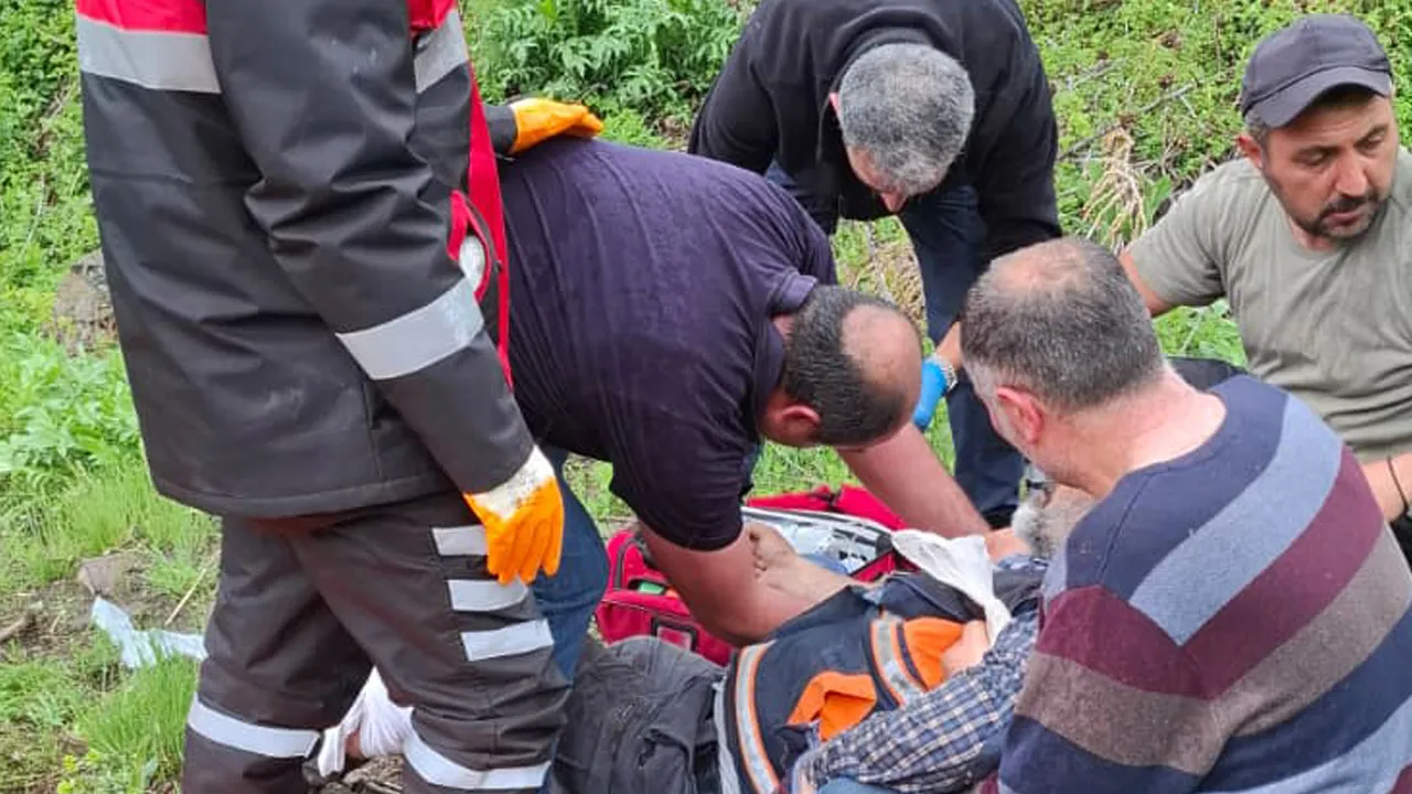 Mantar toplarken ayı saldırısına uğradı