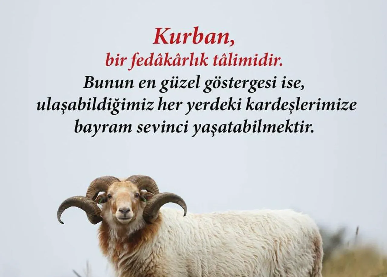 Kurban Bayramı mesajları 2026: Resimli, hadisli, dualı bayram mesajları