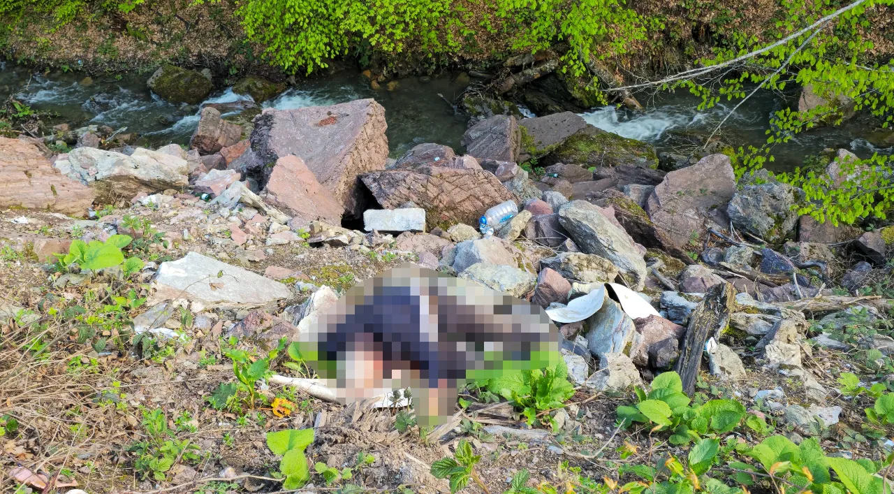 Bir kenti ayağa kaldıran sır cinayet aydınlandı! Katil kısa sürede yakayı ele verdi