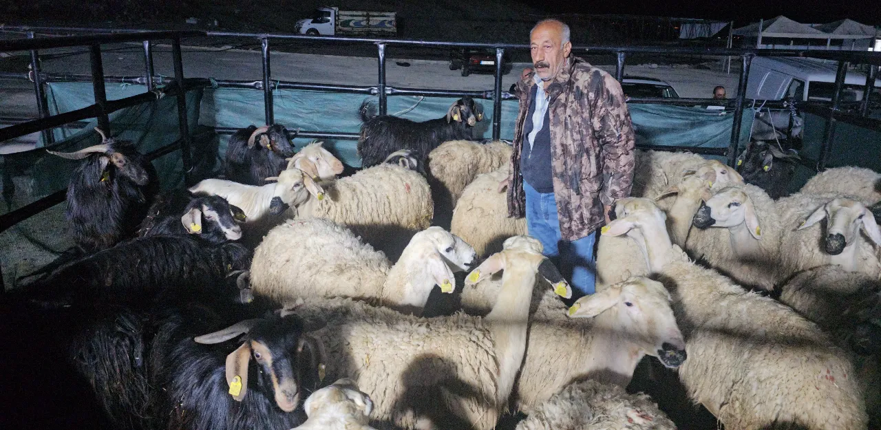 Hayvanlarının başından ayrılmıyorlar! Pazarda gece nöbeti başladı