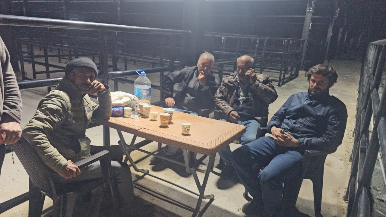Hayvanlarının başından ayrılmıyorlar! Pazarda gece nöbeti başladı