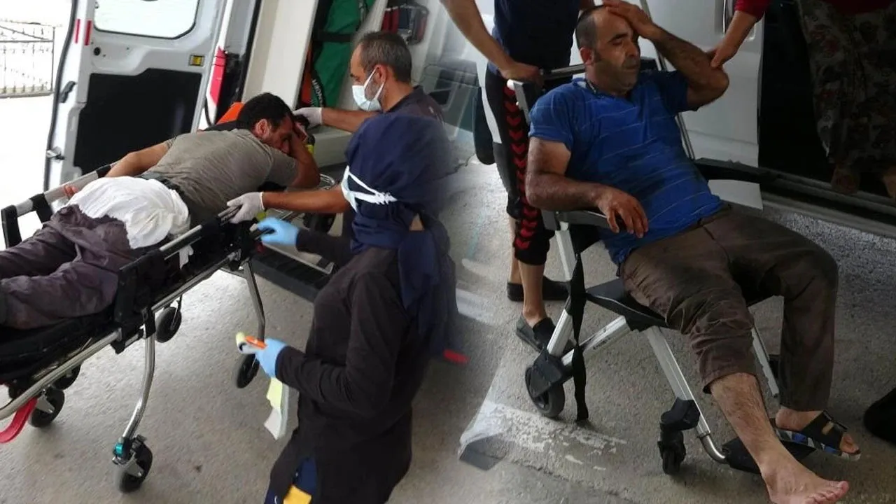 Uzmanından acemi kasaplara kritik uyarılar: Sakın yaraya salça, kül, tütün basmayın
