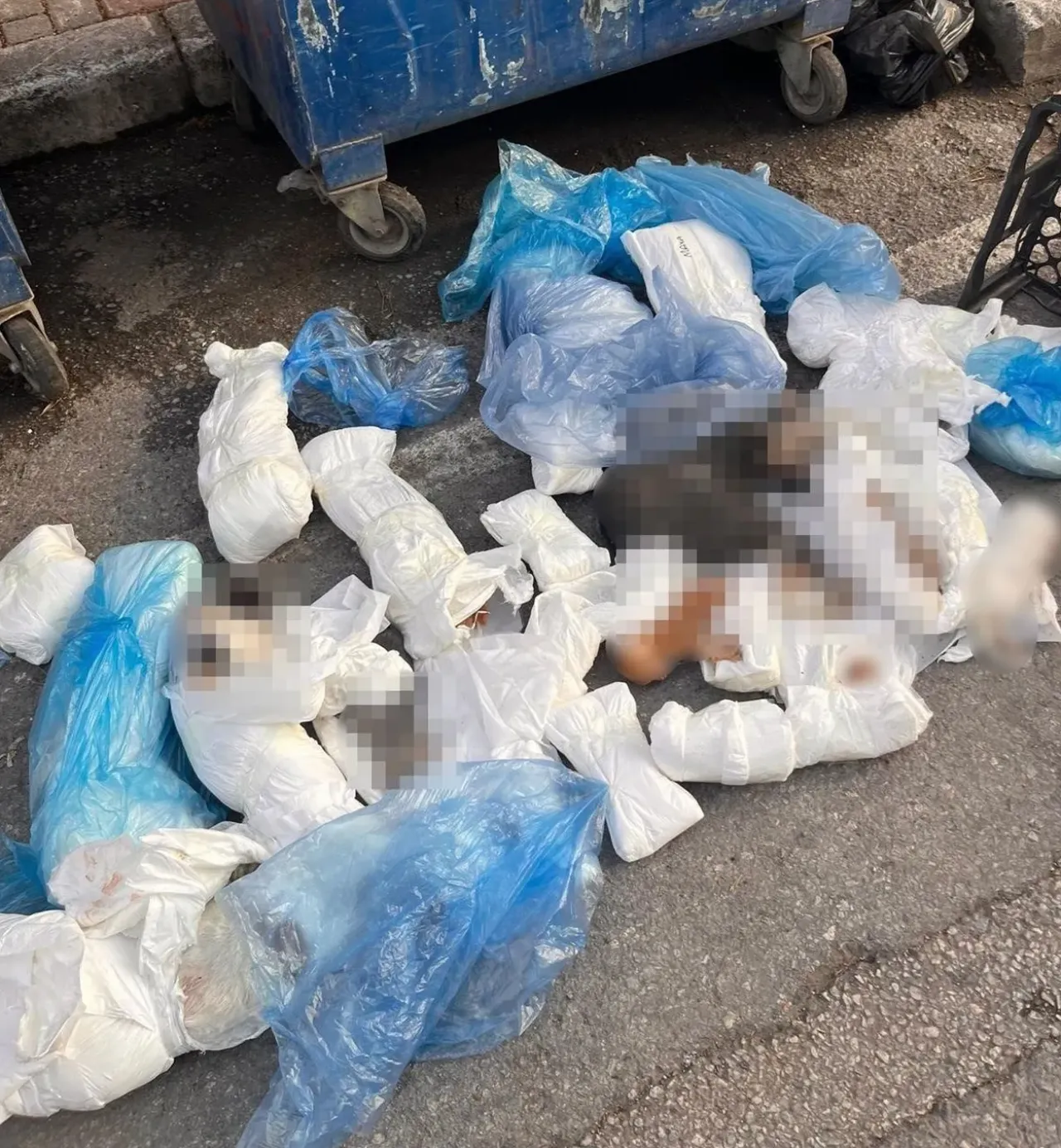 33 ölü kedi bulunmuştu! Tutuklanan ismin mesleği pes dedirtti