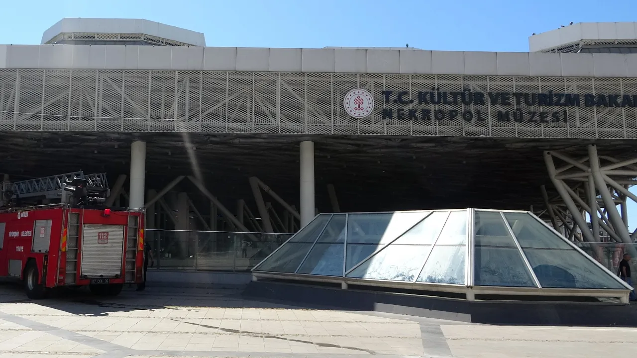 Güvercin ölümlerinin ardından harekete geçildi! Sonar ses sistemi kurulacak