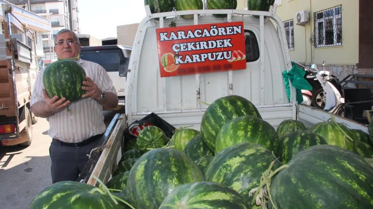 Hasat başladı, kilosu 60 lira! Bu karpuzlar Türkiyede sadece 1 ilçede satılıyor