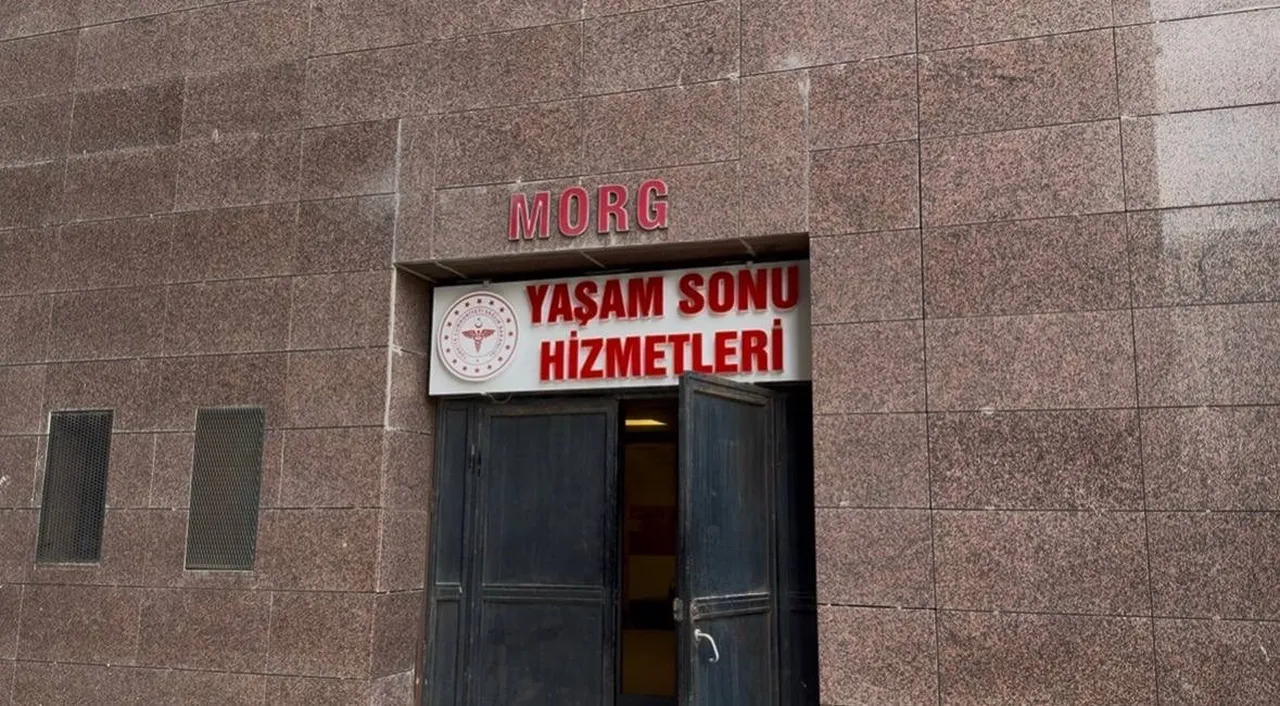 Mardin'de iki aile birbirine girdi: Ölü ve çok sayıda yaralı var